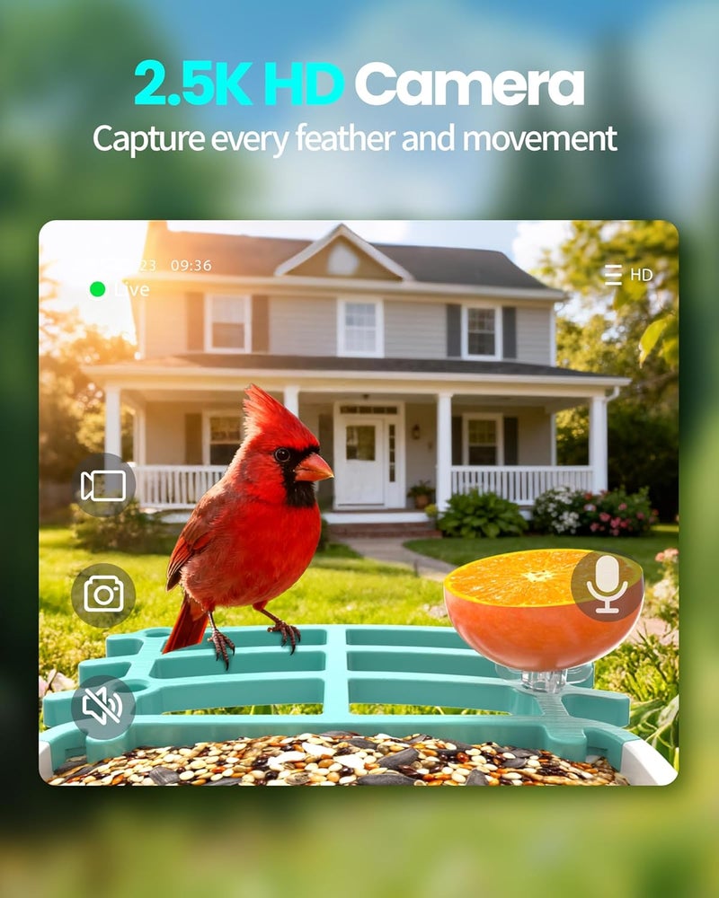 isYoung Smart Bird Feeder with Camera, AI Identifies 16,000+ Birds, Solar Powered, 2.5K HD, Auto Capture & Notify, Ideal Gift for Bird Lovers - Image 3